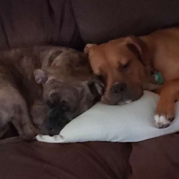 Meet your Posher, Jeremy - Picture 1 of 1